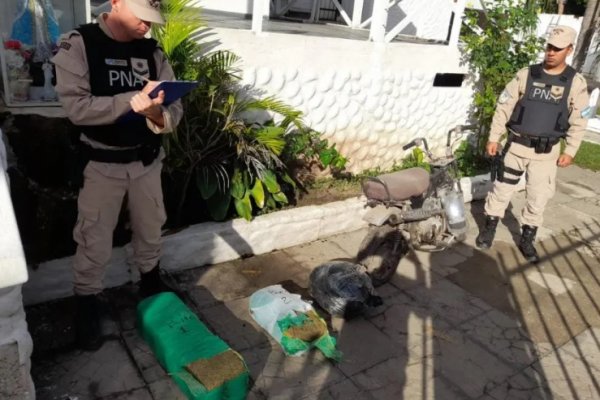 Hallaron 20 kilos de marihuana ocultos en un baldío en la localidad de Itatí