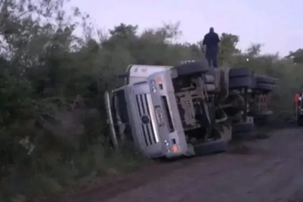 Volcó camión jaula y murieron con 38 terneros cerca de la localidad de Bella Vista