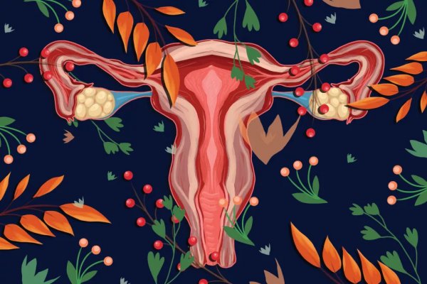 Cuello uterino: del HPV a los pólipos, estas son las 5 enfermedades más comunes