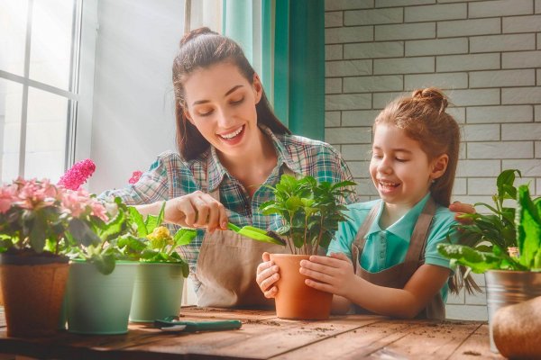 En casa: lecciones para armar una huerta en tu jardín