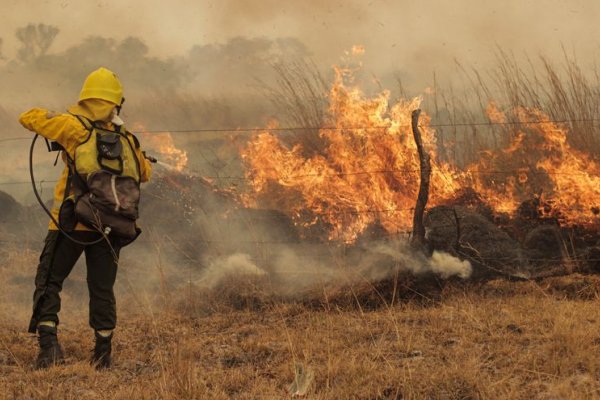 Reportan dos incendios forestales controlados en Corrientes y Tierra del Fuego