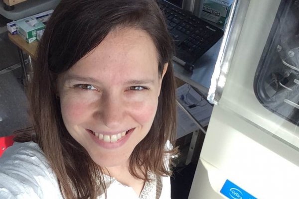 Biomateriales: investigadora argentina usa el gusano de seda para reparar tejidos