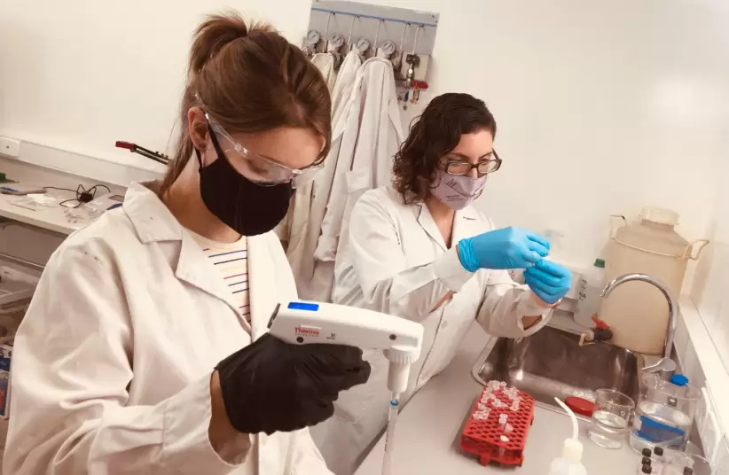 Las investigadoras logran llevar la seda a una solución para luego extraer sus proteínas