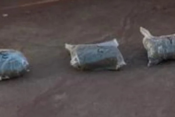 Un hombre fue detenido con más de 3 kilos de marihuana en un trasporte público
