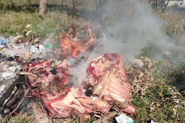 Secuestraron cortes de carnes no aptos para el consumo humano