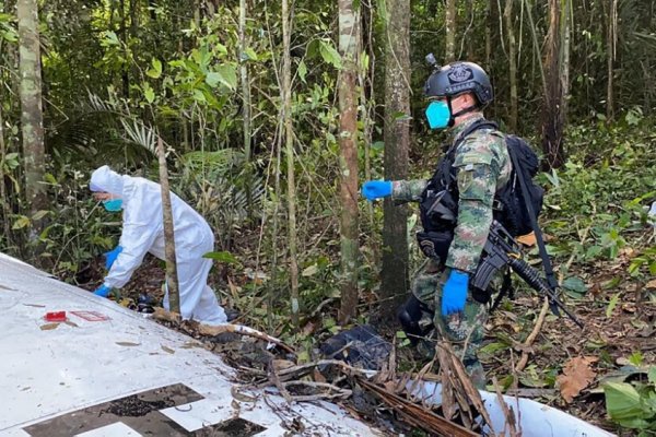 Continúa la búsqueda de cuatro niños en la selva de Colombia tras un accidente aéreo