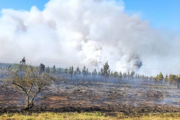 Corrientes: autorizan quemas controladas en toda la provincia