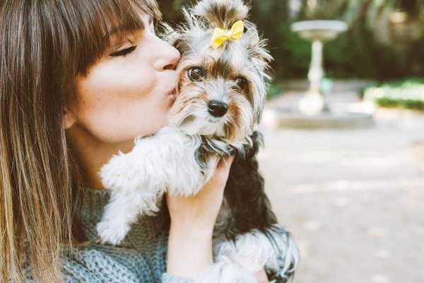 Qué enfermedades te pueden transmitir las mascotas y 5 consejos para evitarlas