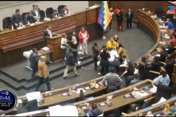 Un grupo de legisladores, a las trompadas durante una sesión en el Congreso de Bolivia