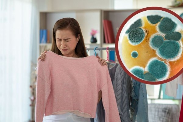 Trucos de limpieza: cómo sacar el olor a humedad de la ropa en minutos