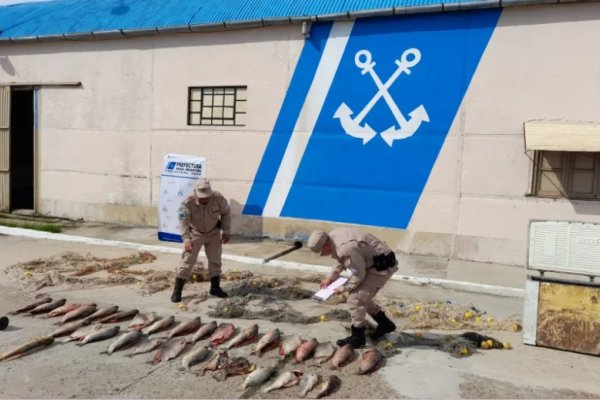 Prefectura secuestró mas de medio millón de pesos de pesca ilegal cerca de Goya