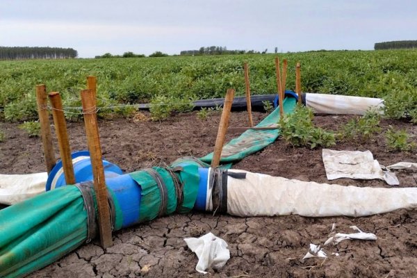 Corrientes: especialista habla de la nueva tecnología de riego que busca ampliar la agricultura