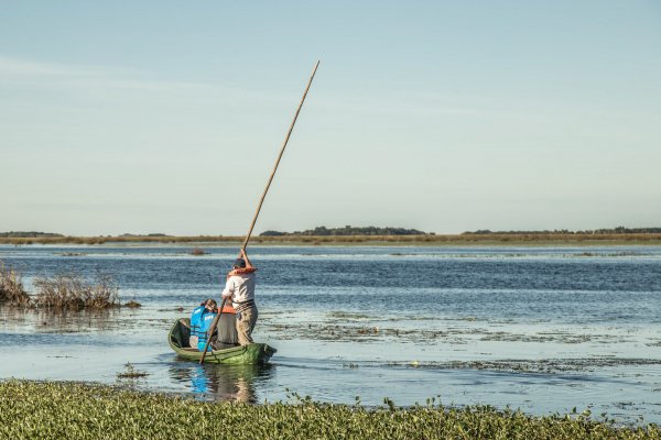 Nueve claves para explorar los Esteros del Iberá en la Ruta Natural