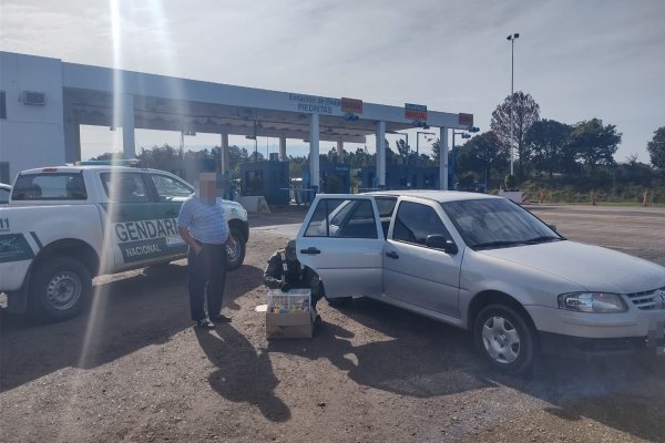 Gendarmes rescataron animales silvestres en Corrientes