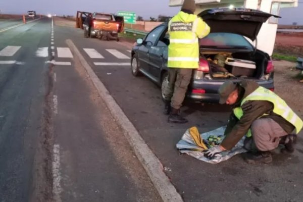 Secuestraron 2.500 mililitros de ketamina y dinero en efectivo cerca de la localidad de Tapebicuá