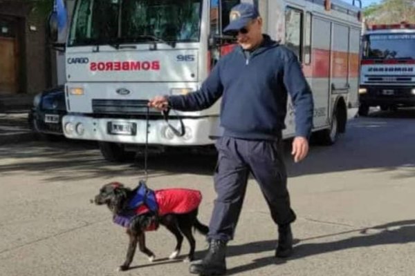 Una perrita bombero del cuartel de Goya hoy celebró con sus compañeros