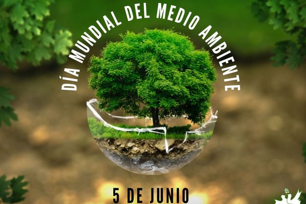 Día Mundial del Medio Ambiente: ¿por qué se conmemora hoy, 5 de junio?