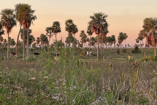 Escapadas: fauna, aventura y pueblos rurales en el sector menos conocido del Litoral