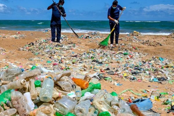 En el Día del Medio Ambiente, los expertos coinciden en que 