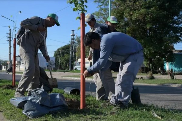 Se plantaron más de 80 árboles y se eliminó un basural