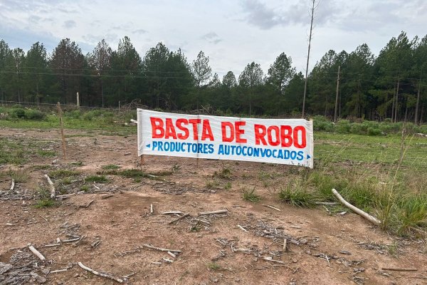 Cuatrerismo en Corrientes: un municipio tuvo que aportar refugios para la policía rural
