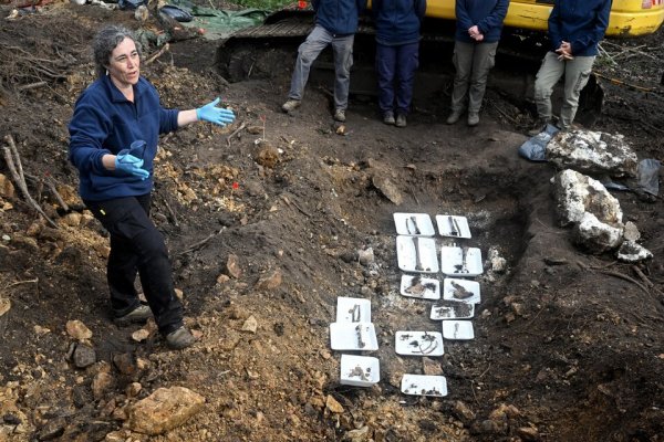 Hallaron los restos óseos de un posible desaparecido de la dictadura