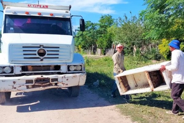 Hacen falta 15 días seguidos de frío para frenar el ciclo reproductivo de los mosquitos