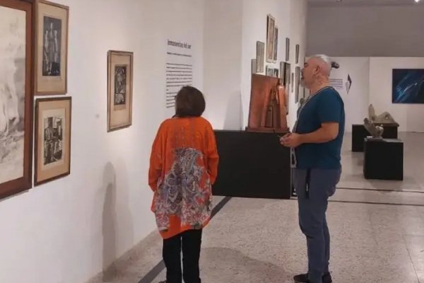 Invitan a un recorrido guiado en una muestra en el Museo de Bellas Artes