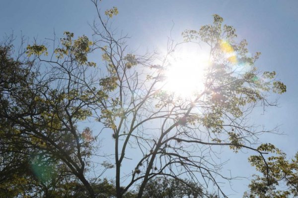 Resistencia y Formosa con el clima más caliente del país