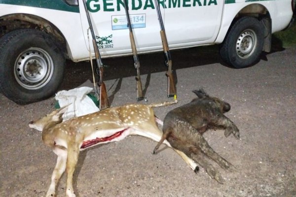 Corrientes: A la caza de los cazadores, Secuestraron más animales salvajes faenados