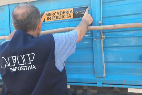 Corrientes: decomisan 209 toneladas de granos durante dos operativos en Paso de los Libres