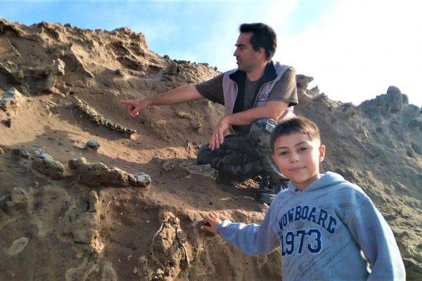 Un niño de 8 años encontró fósiles de un perezoso gigante de la edad de hielo en Miramar