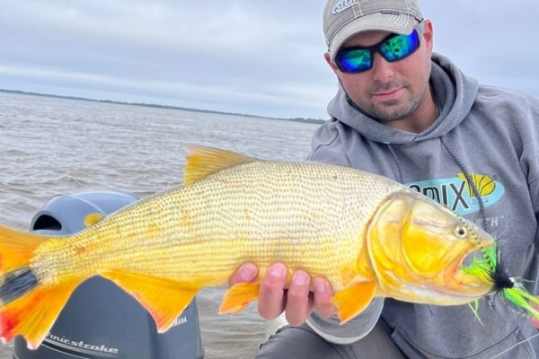 Esquina: Dorados en una de las joyas del delta correntino