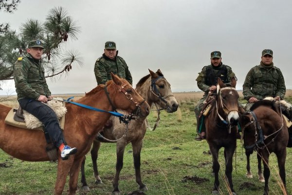 Presidente de Sociedad Rural dijo que en Corrientes el cuatrerismo es una mafia organizada