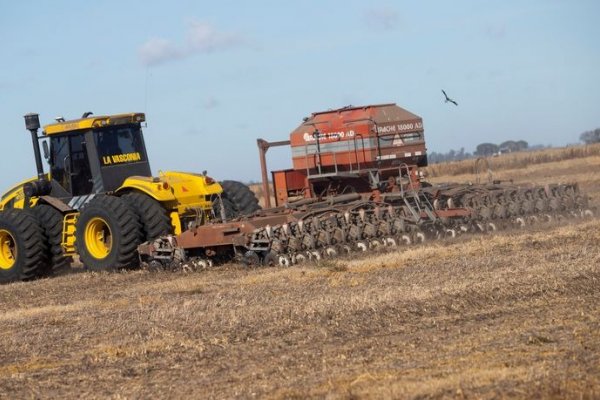 Emergencia agropecuaria: Corrientes fue la provincia que más pedidos acumuló a Nación