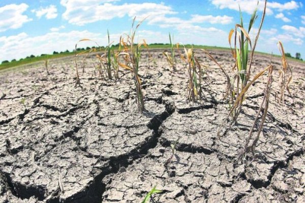 Nación homologó la Emergencia Agropecuaria para Corrientes