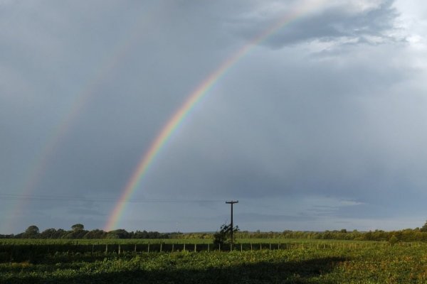 La buena y la mala de El Niño: ya está instalado “con mucho vigor”, pero su llegada será “lenta e irregular”