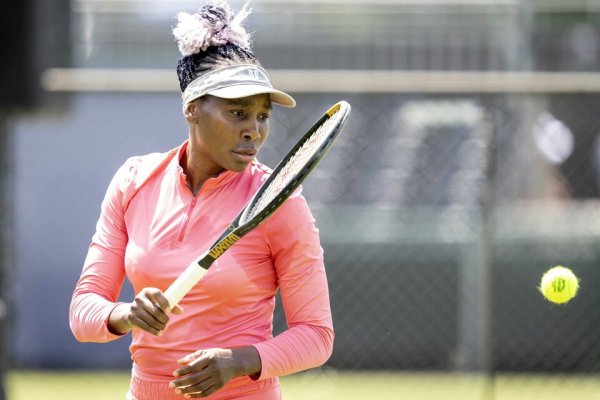 Venus Williams volverá a Wimbledon a los 43 años