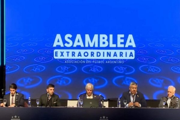 La AFA eliminó un descenso de la Liga Profesional por unanimidad