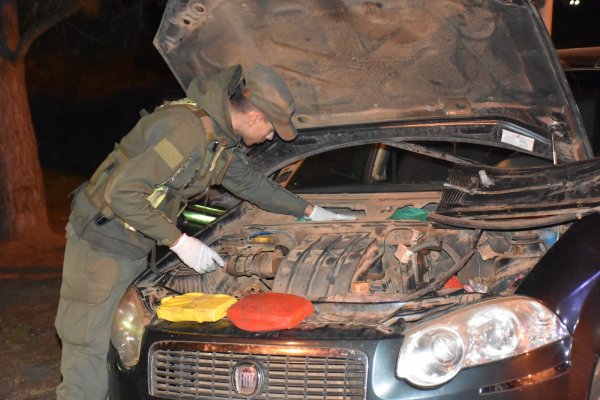 Corrientes: El perro Hilary detectó 7 kilos de cocaína envainada en un auto