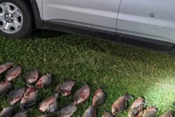 Trasladaban más de 200 piezas de pescados en un automóvil