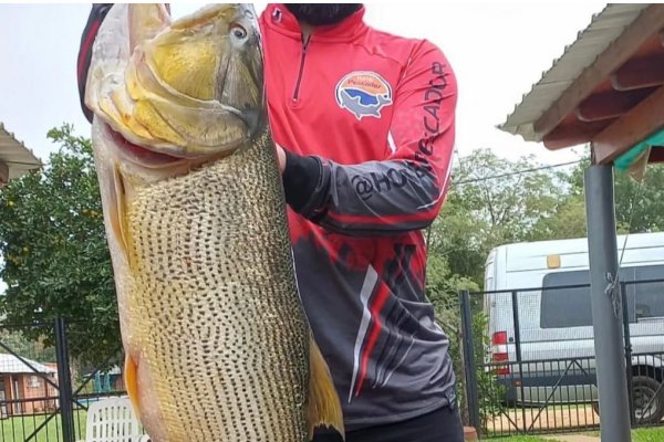 Corrientes: nuevas denuncias sobre depredación en el Río Paraná