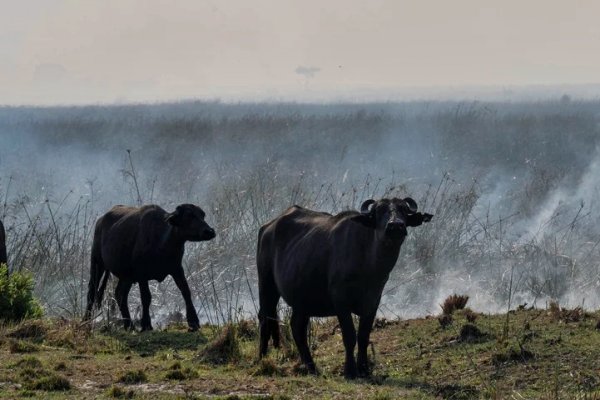 Productores correntinos exigen que se extienda la emergencia agropecuaria