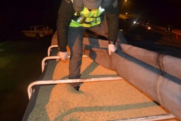 Corrientes: Interceptan en Santo Tomé tres camiones con soja ilegal con destino el Brasil