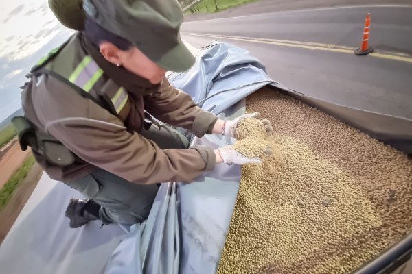 Paso de los Libres: confiscan 210 toneladas de soja