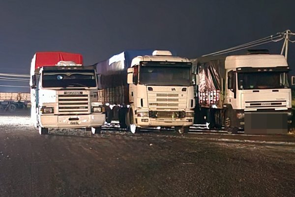 En Alvear: quejas por demoras y mal servicio de balsas para cruzar a Brasil