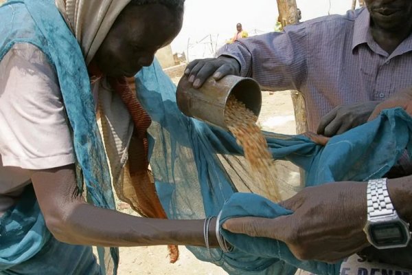 La ONU aseguró que más de 783 millones de personas sufrieron malnutrición durante 2022