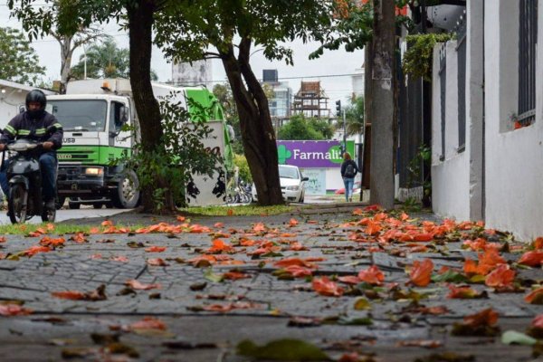 Clima frío en Corrientes: jueves nublado y con probabilidad de precipitaciones