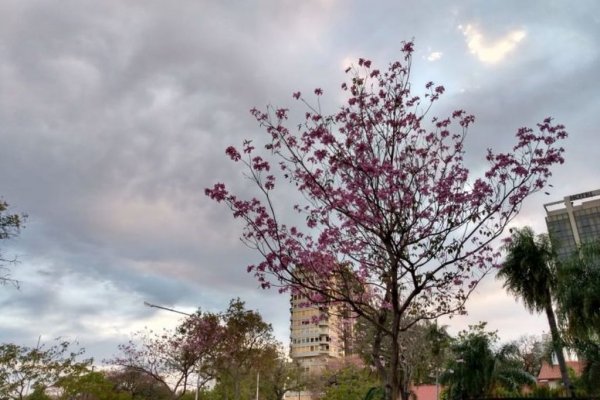 Corrientes: hoy la máxima llegará a los 32ºC y la humedad del 98 por ciento