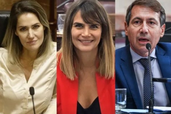 Amalia Granata destrozó a Carolina Losada y a Luis Naidenoff